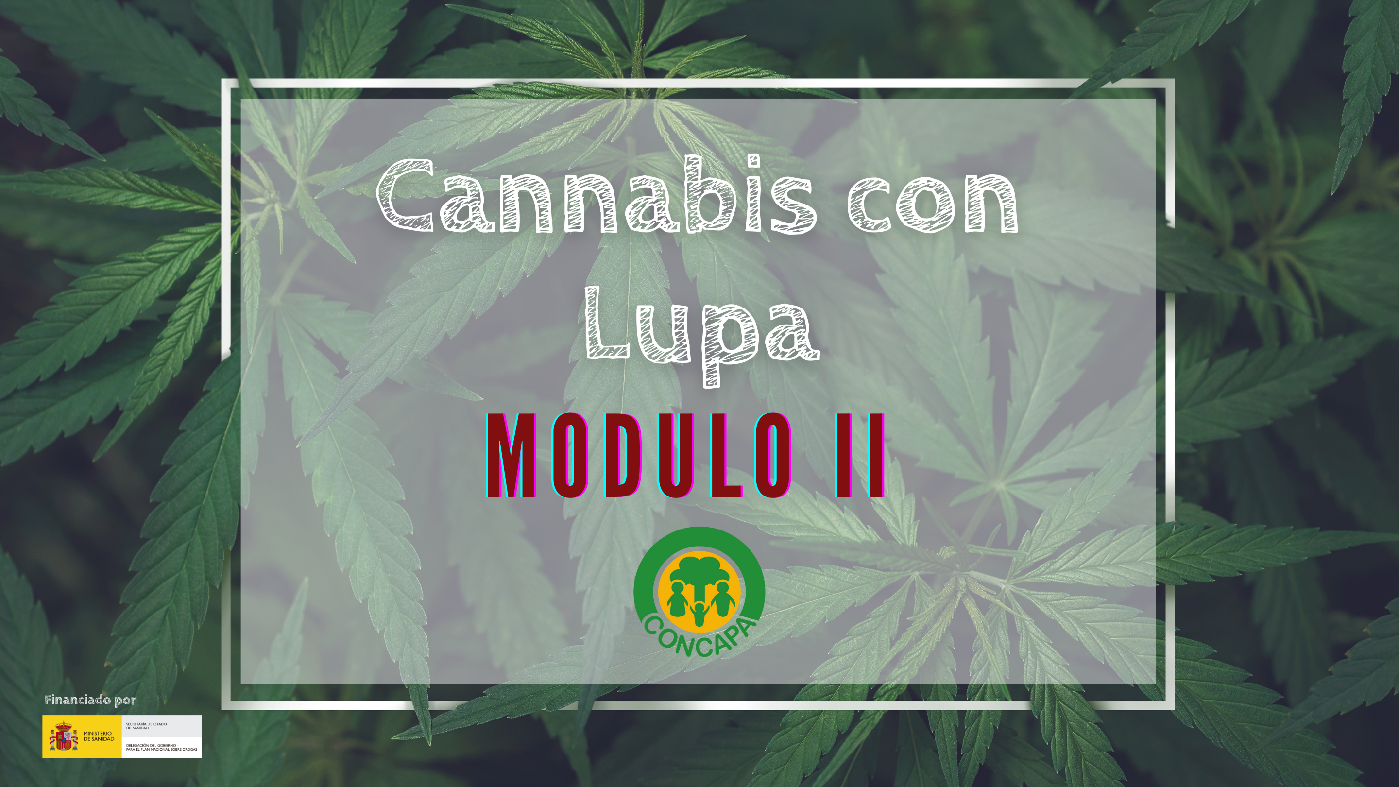 cannabis con Lupa modulo 2 cannabis con Lupa modulo 2
